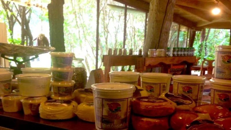 Fotografía de Tiendita Verde